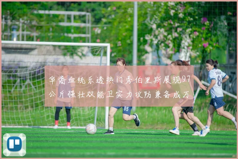 华裔血统乐透热门秀伯里斯展现97公斤强壮双能卫实力攻防兼备成万金油之选