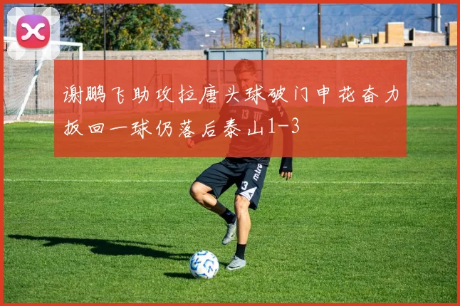 谢鹏飞助攻拉唐头球破门申花奋力扳回一球仍落后泰山1-3